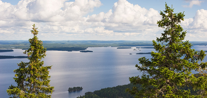 Sibeliuksen häämätka Helsingistä Lieksaan 2015